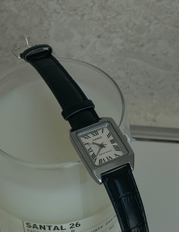 casio wristwatch